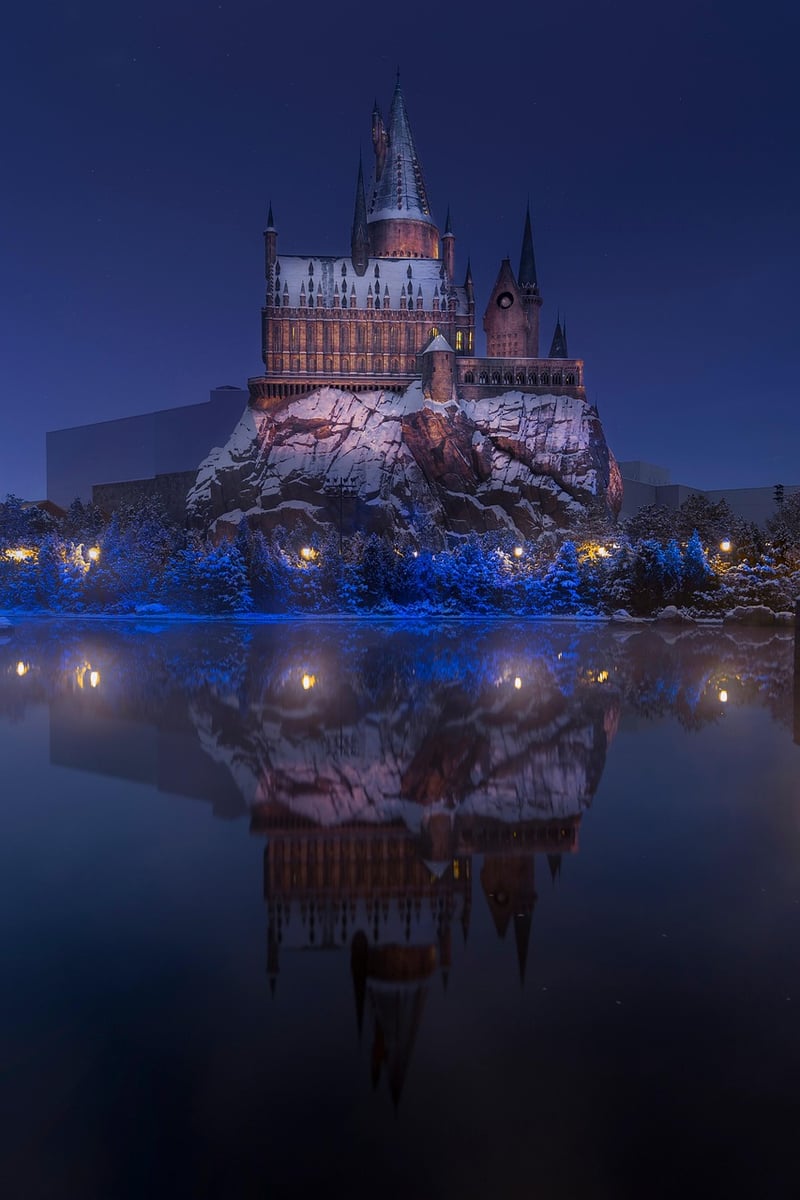 Wizard Robes Image