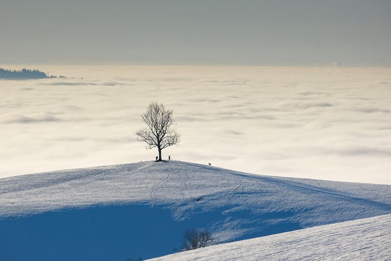 Black Forest, Germany